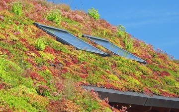 Wike Well End living roof systems